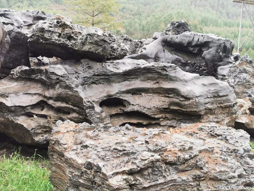 风景石、假山石大量有货，有需要的欢迎联系 - 新手上路 - 张家界生活社区 - 张家界28生活网 zjj.28life.net