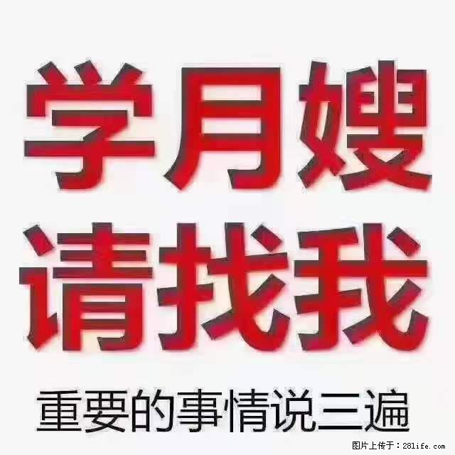 为什么要学习月嫂，育婴师？ - 新手上路 - 张家界生活社区 - 张家界28生活网 zjj.28life.net