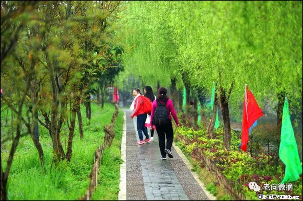 【春天，广西桂林灌阳县向您发出邀请！】江口老街又逢春 - 游山玩水 - 张家界生活社区 - 张家界28生活网 zjj.28life.net