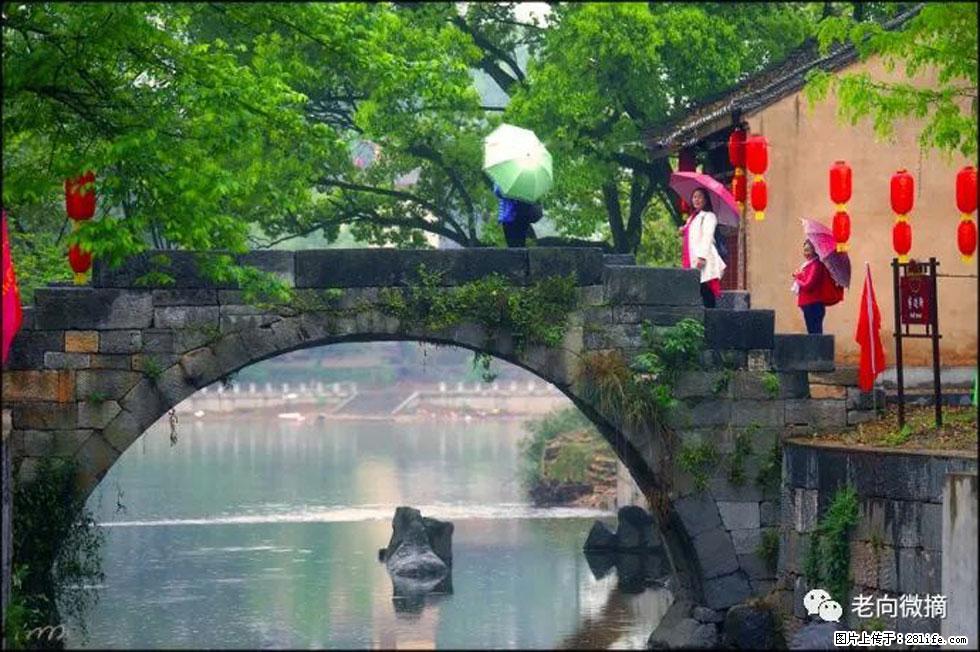 【春天，广西桂林灌阳县向您发出邀请！】江口老街又逢春 - 游山玩水 - 张家界生活社区 - 张家界28生活网 zjj.28life.net
