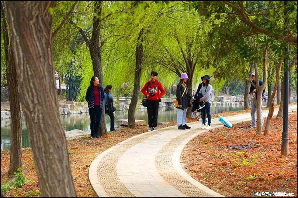 【春天，广西桂林灌阳县向您发出邀请！】江口老街又逢春 - 游山玩水 - 张家界生活社区 - 张家界28生活网 zjj.28life.net