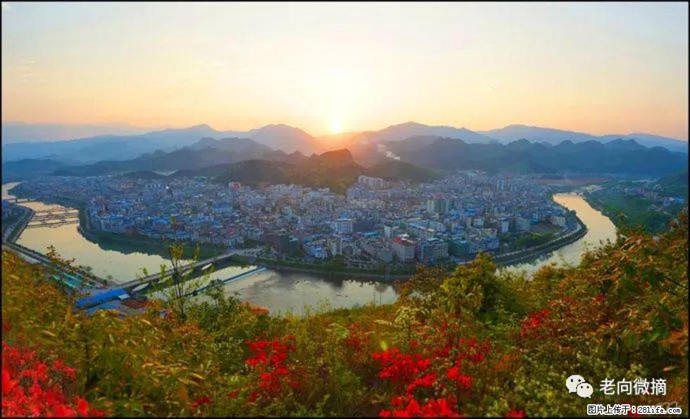 【春天，广西桂林灌阳县向您发出邀请！】登麒麟山，相约映山红 - 游山玩水 - 张家界生活社区 - 张家界28生活网 zjj.28life.net