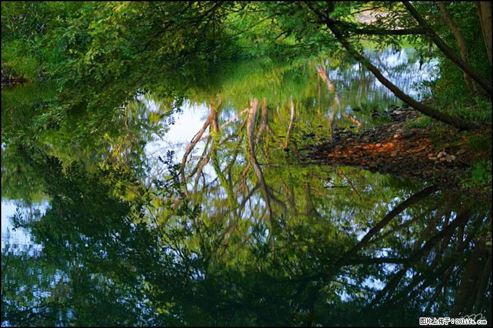 【春天，广西桂林灌阳县向您发出邀请！】熊家寨湿地公园 - 游山玩水 - 张家界生活社区 - 张家界28生活网 zjj.28life.net