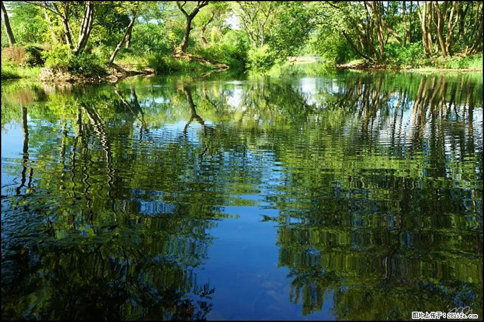 【春天，广西桂林灌阳县向您发出邀请！】熊家寨湿地公园 - 游山玩水 - 张家界生活社区 - 张家界28生活网 zjj.28life.net