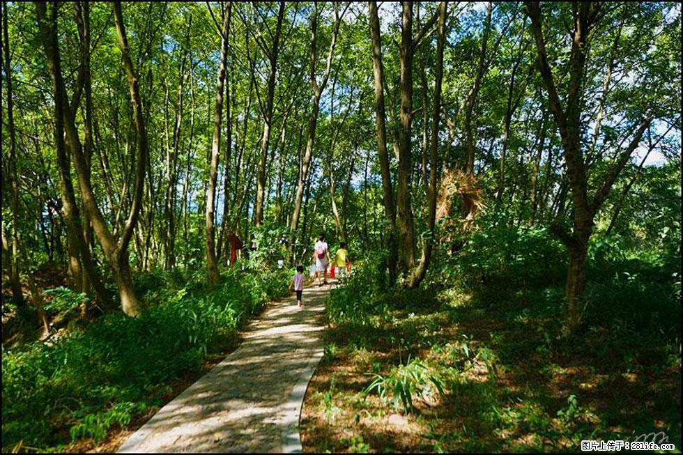 【春天，广西桂林灌阳县向您发出邀请！】熊家寨湿地公园 - 游山玩水 - 张家界生活社区 - 张家界28生活网 zjj.28life.net