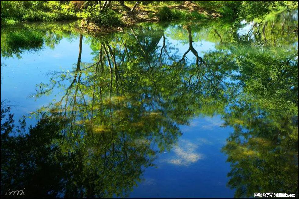 【春天，广西桂林灌阳县向您发出邀请！】熊家寨湿地公园 - 游山玩水 - 张家界生活社区 - 张家界28生活网 zjj.28life.net