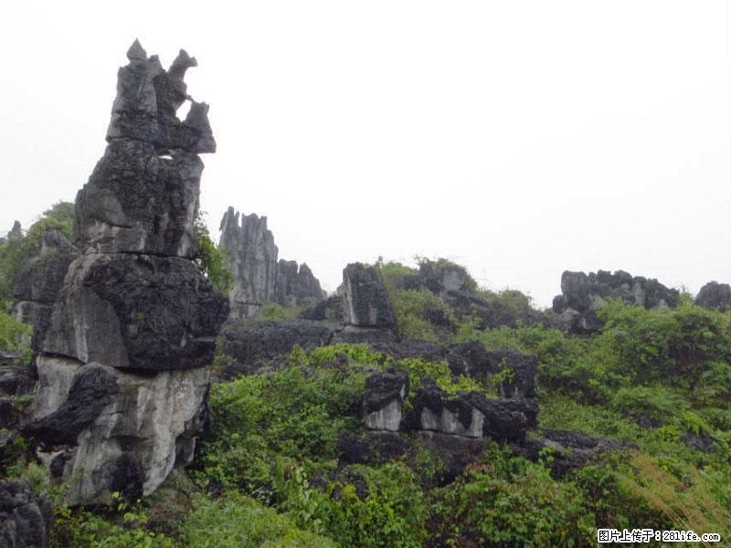 桂林旅游名城景点：灌阳文市石林 - 游山玩水 - 张家界生活社区 - 张家界28生活网 zjj.28life.net
