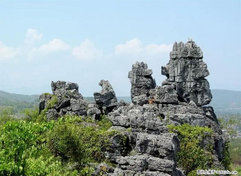 桂林旅游名城景点：灌阳文市石林 - 游山玩水 - 张家界生活社区 - 张家界28生活网 zjj.28life.net