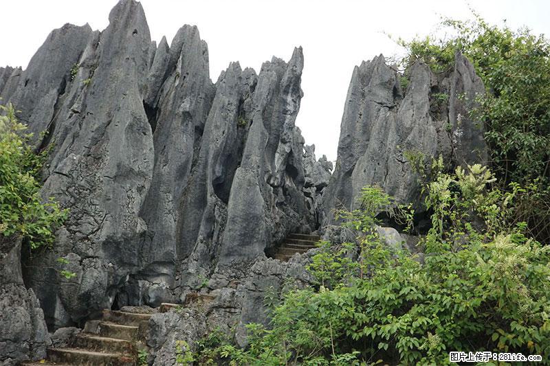 桂林旅游名城景点：灌阳文市石林 - 游山玩水 - 张家界生活社区 - 张家界28生活网 zjj.28life.net