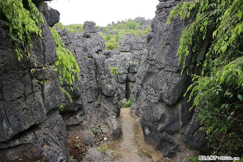桂林旅游名城景点：灌阳文市石林 - 游山玩水 - 张家界生活社区 - 张家界28生活网 zjj.28life.net