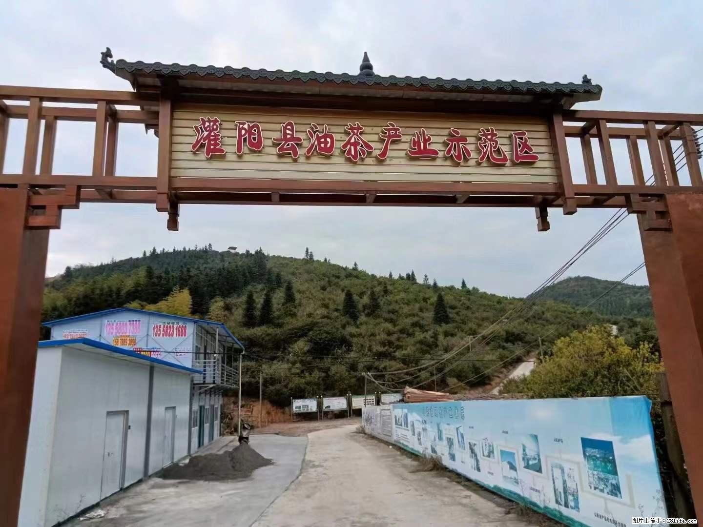 【灌阳县油茶产业示范区】一个有着充实的精神生活的人，对待身外之物自会有一种淡泊的态度 - 土特产 - 饮食特产 - 张家界分类信息 - 张家界28生活网 zjj.28life.net