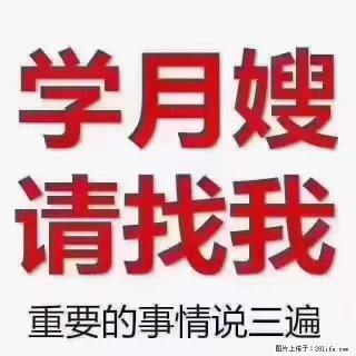 为什么要学习月嫂，育婴师？ - 张家界28生活网 zjj.28life.net
