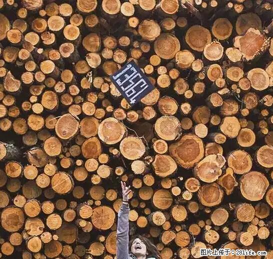 辞掉工作周游世界？现在他们在洗厕所…… - 游山玩水 - 张家界生活社区 - 张家界28生活网 zjj.28life.net