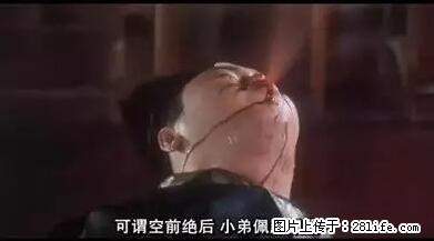 笑癫了！一女的怀孕三年未生，他终于忍不住了... - 娱乐八卦 - 张家界生活社区 - 张家界28生活网 zjj.28life.net