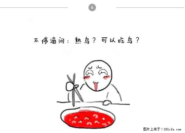 千万不要和这9种哈卵一起吃火锅！ - 美食天地 - 张家界生活社区 - 张家界28生活网 zjj.28life.net