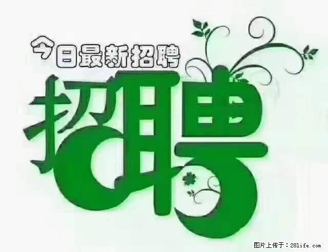 【招聘摄像师】待遇：试用期6000元/月，转正7000元/月+五险一金+餐补+节日福利+奖金 - 其他招聘信息 - 招聘求职 - 张家界分类信息 - 张家界28生活网 zjj.28life.net
