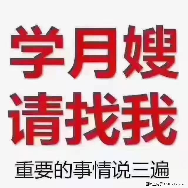 【招聘】月嫂，上海徐汇区 - 职场交流 - 张家界生活社区 - 张家界28生活网 zjj.28life.net
