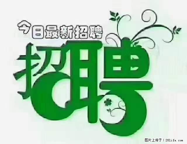 上海隔离酒店招人：55岁以下 男女不限 - 职场交流 - 张家界生活社区 - 张家界28生活网 zjj.28life.net
