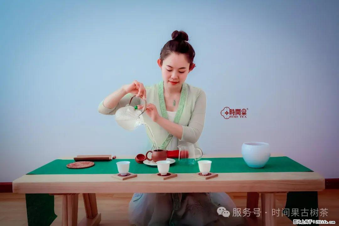 时间果百年古树龙珠普洱生茶 - 购物交流 - 张家界生活社区 - 张家界28生活网 zjj.28life.net
