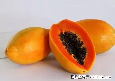 晕车、脚气、牙齿变黄、皮肤粗糙？学会这些三分钟搞定！ - 张家界生活资讯 - 张家界28生活网 zjj.28life.net