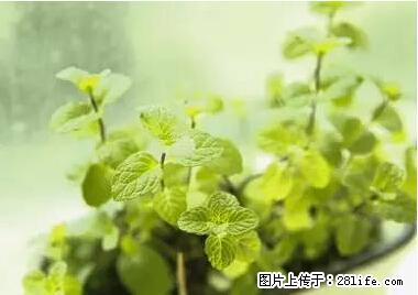 晕车、脚气、牙齿变黄、皮肤粗糙？学会这些三分钟搞定！ - 张家界生活资讯 - 张家界28生活网 zjj.28life.net