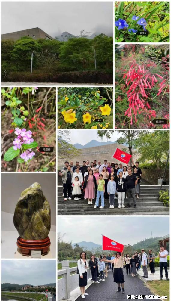 “粤灌文化 美好生活”油茶文化主题活动在广东深圳成功举办 - 张家界生活资讯 - 张家界28生活网 zjj.28life.net