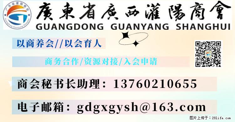 “粤灌文化 美好生活”油茶文化主题活动在广东深圳成功举办 - 张家界生活资讯 - 张家界28生活网 zjj.28life.net