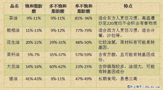 揭秘茶油的5大核心营养成分！被称为人体健康的“守护盾”！ - 张家界生活资讯 - 张家界28生活网 zjj.28life.net
