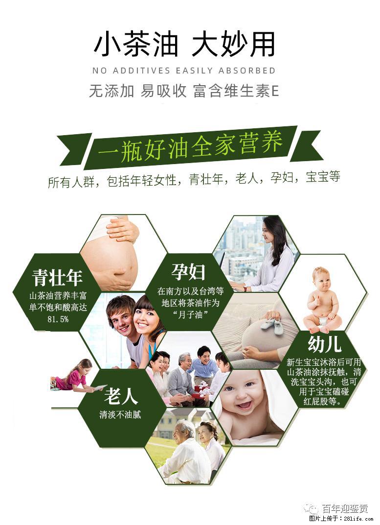 世界没有真相,只有认知,最好的食用油是中国的山茶油! - 张家界生活资讯 - 张家界28生活网 zjj.28life.net