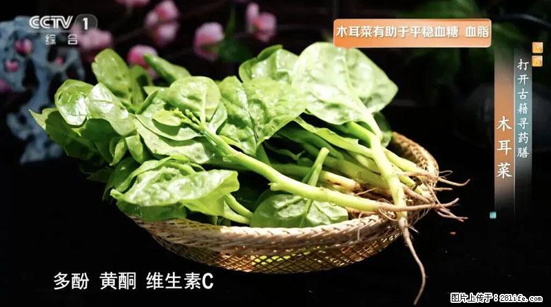 比牛奶补钙还厉害！凉血解毒、稳血糖...这菜冬天必吃，很多人却当草 - 张家界生活资讯 - 张家界28生活网 zjj.28life.net