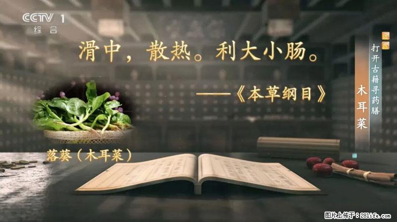 比牛奶补钙还厉害！凉血解毒、稳血糖...这菜冬天必吃，很多人却当草 - 张家界生活资讯 - 张家界28生活网 zjj.28life.net