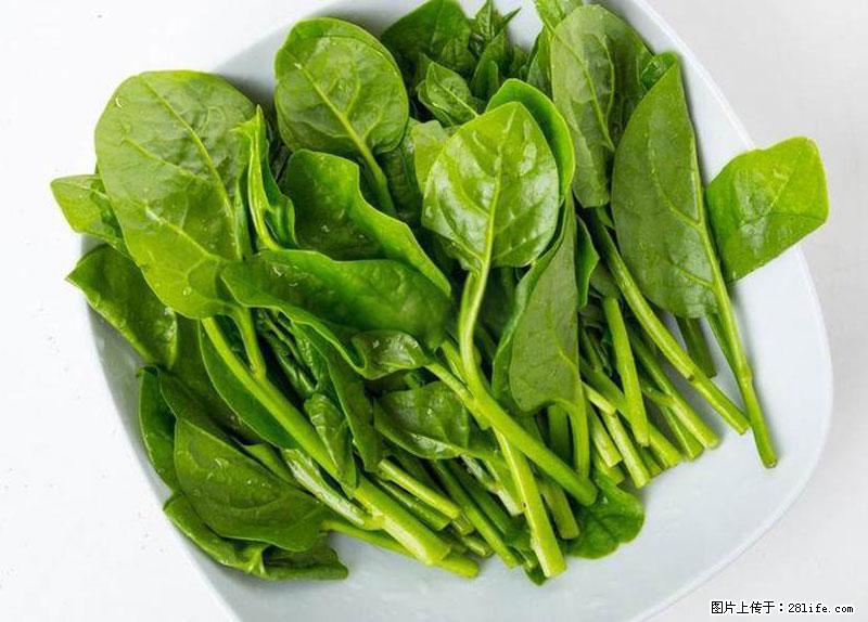 这些蔬菜是“天然钙片”，这6种被医生重点推荐 - 张家界生活资讯 - 张家界28生活网 zjj.28life.net
