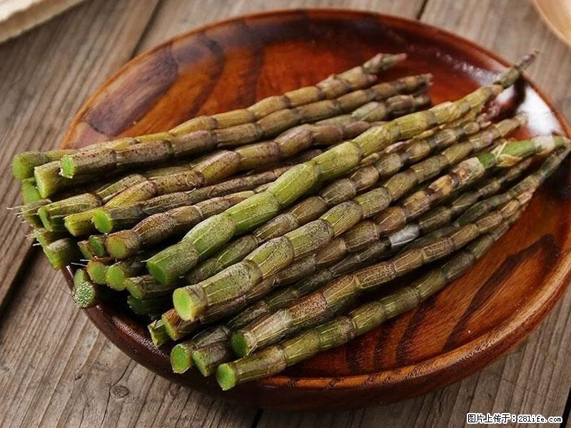 铁皮石斛的作用与功能主治 - 张家界生活资讯 - 张家界28生活网 zjj.28life.net